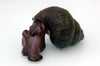 Trapdoor Snails